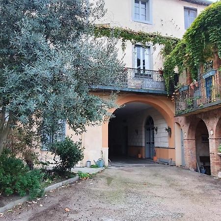 Un petit coin de France : à côté de la Cité médiévale Carcassonne Exterior foto