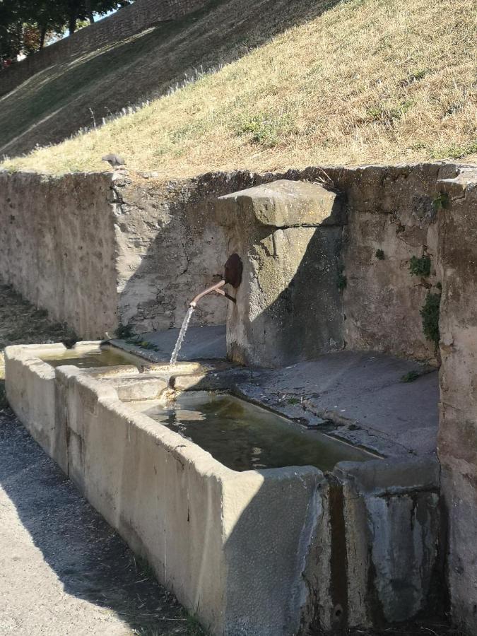 Un petit coin de France : à côté de la Cité médiévale Carcassonne Exterior foto