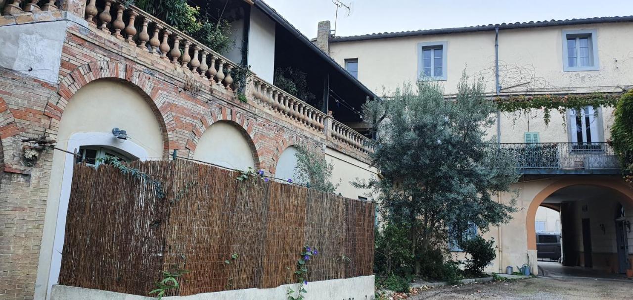 Un petit coin de France : à côté de la Cité médiévale Carcassonne Exterior foto